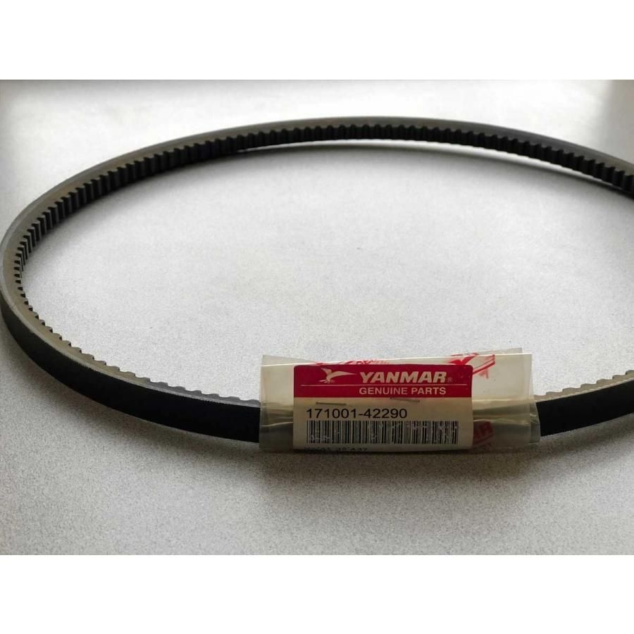 Genuine OEM Yanmar V-Belt #171001-42290 - FREE Shipping!